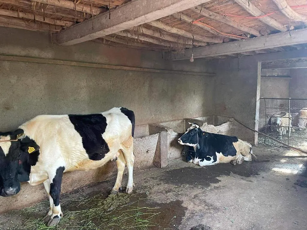 马拉喀什Motia'S Farm别墅 0*, 马拉喀什 摩洛哥